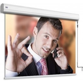 Adeo screen Professional Vision White (263x197)