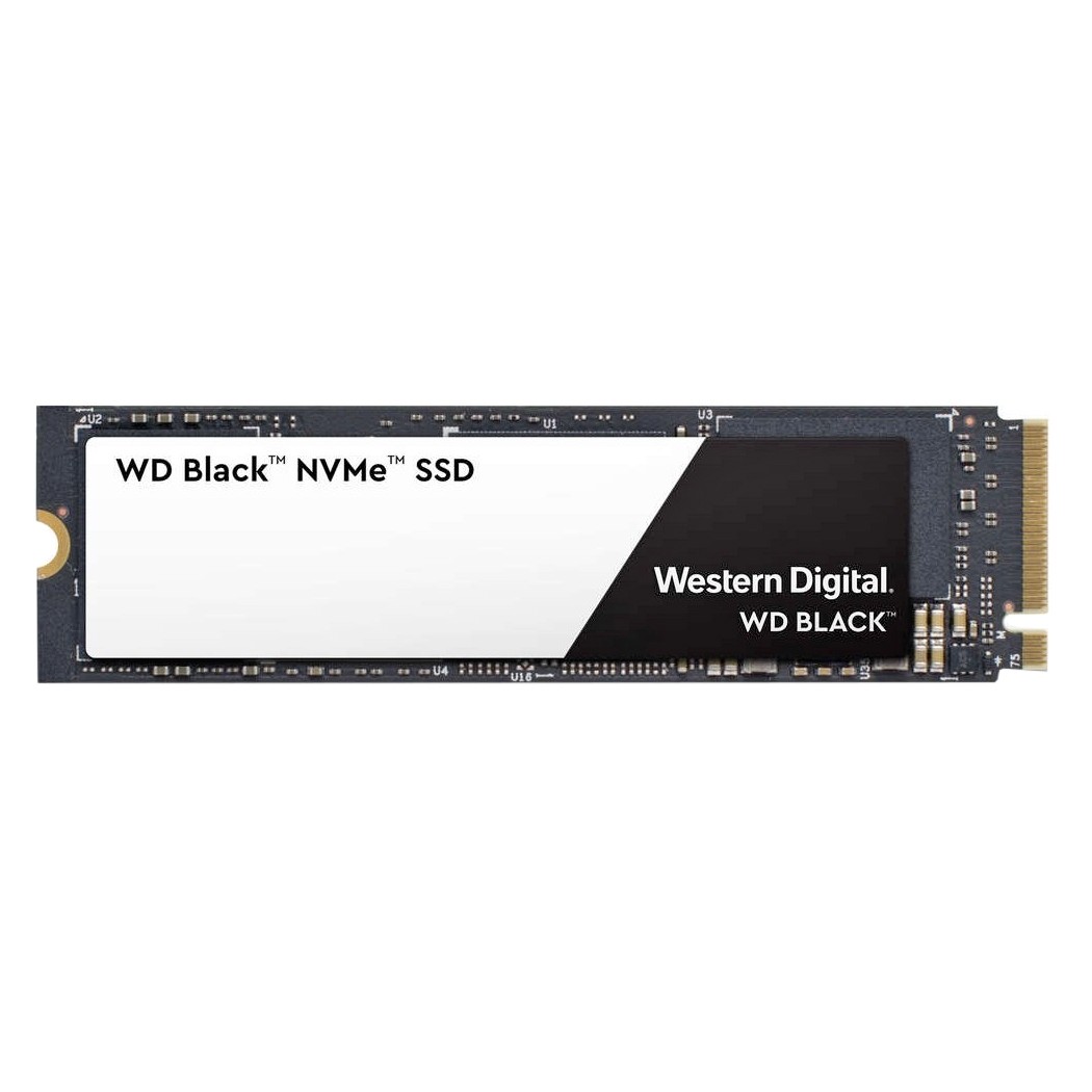 WD SSD Black M.2 250 GB (WDS250G2X0C) - зображення 1