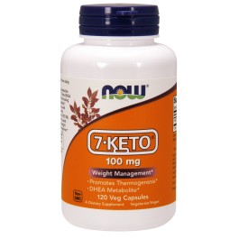 Now 7-Keto-DHEA 100 mg Veg Capsules 120 caps