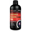 BiotechUSA Arthro Guard Liquid 500 ml /16 servings/ Orange - зображення 2