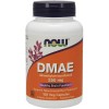 Now DMAE 250 mg Veg Capsules 100 caps - зображення 1