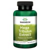 Swanson Mega Tribulus Extract 250 mg 120 caps - зображення 1