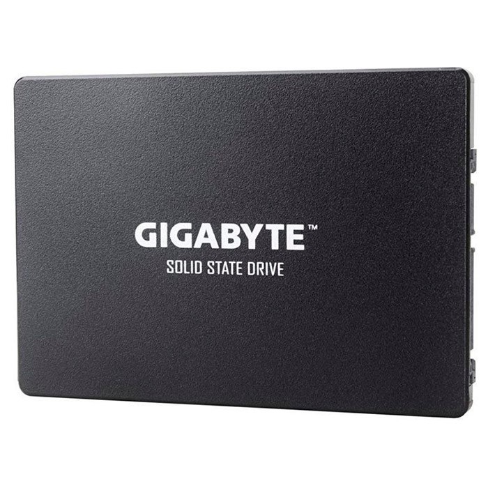 GIGABYTE GP-GSTFS31256GTND - зображення 1