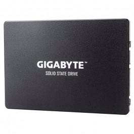 GIGABYTE GP-GSTFS31256GTND