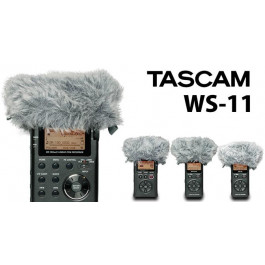 Tascam WS11