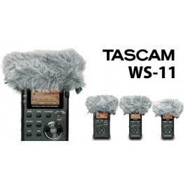   Tascam WS11