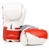 Fairtex Thai Pride Boxing Gloves BGV1-T - зображення 4