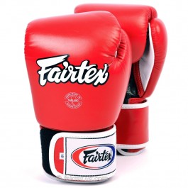 Fairtex Training Boxing Gloves (BGV1/BGE1)