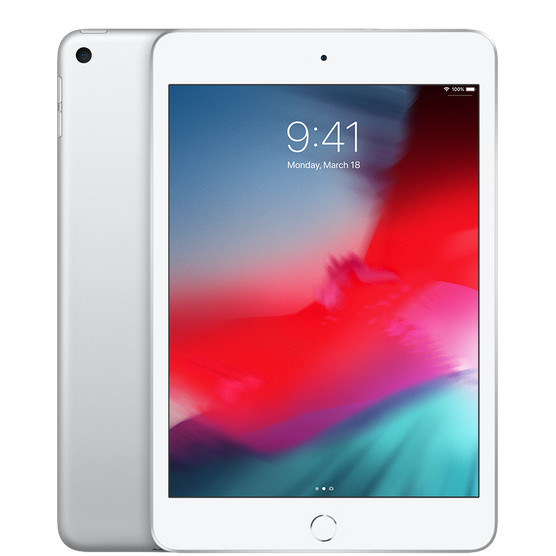 Apple iPad mini 5 Wi-Fi + Cellular 64GB Silver (MUXG2, MUX62) - зображення 1