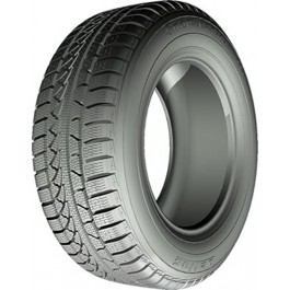   Petlas SnowMaster W651 (205/65R16 95H)