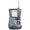 Waterpik Modern Grey Aquarius WP-667 - зображення 1