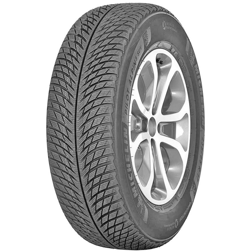 Michelin Pilot Alpin 5 SUV (255/70R18 116V) - зображення 1