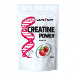 Ванситон Creatine Power /Креатин/ 500 g /100 servings/ Cherry