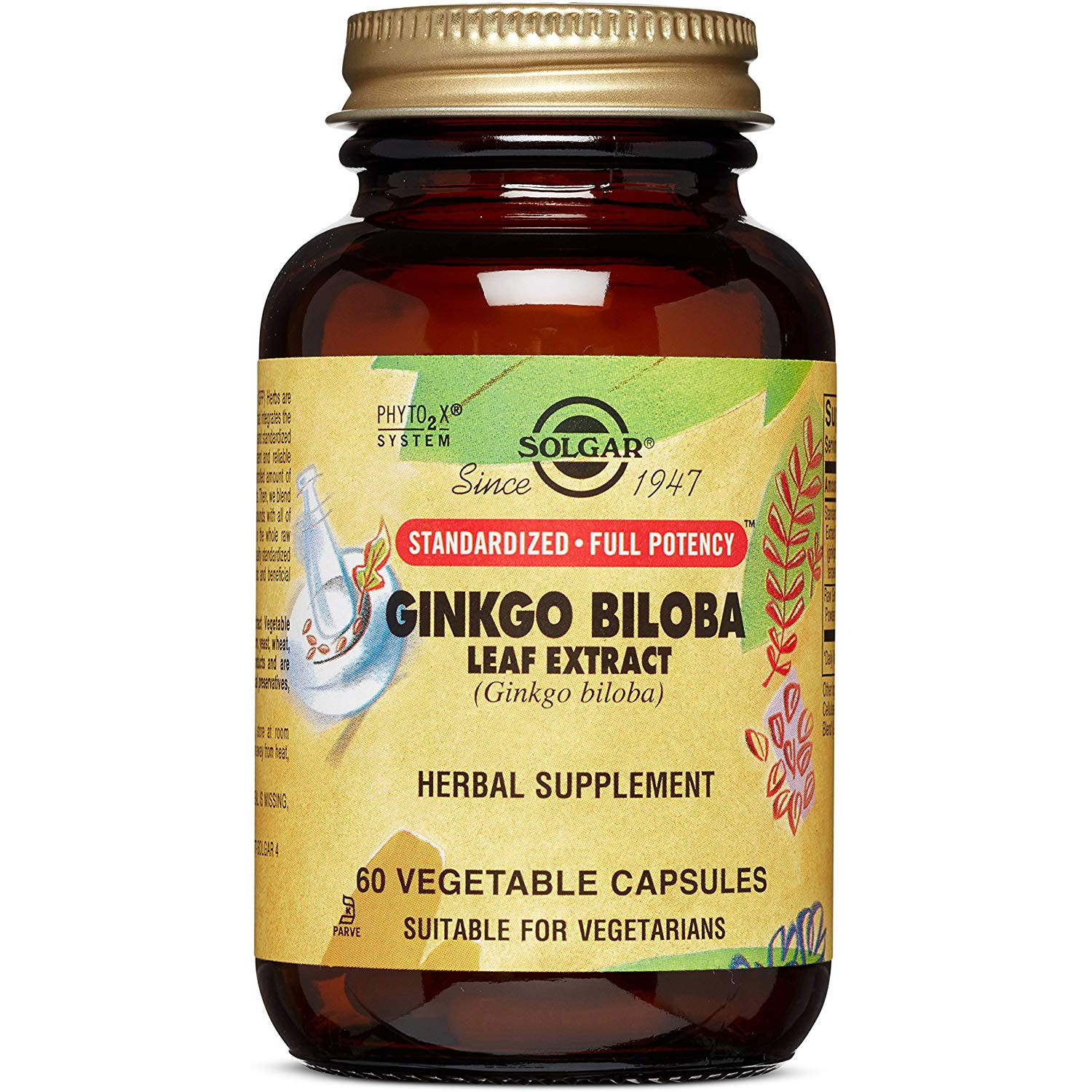 Solgar Ginkgo Biloba Leaf Extract Vegetable Capsules 60 caps - зображення 1