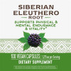 Nature's Way Siberian Eleuthero 425 mg 100 caps - зображення 2