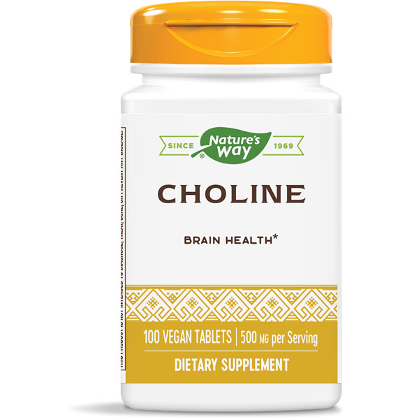 Nature's Way Choline 500 mg 100 tabs - зображення 1