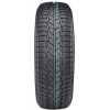 Royal Black Winter (205/55R16 91H) - зображення 1