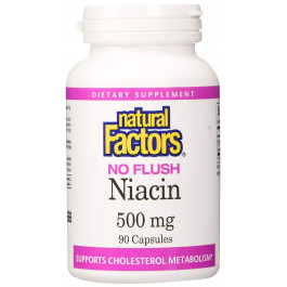 Natural Factors Vitamin B3 No Flush Niacin 500 mg 90 tabs