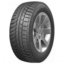   DoubleStar WINTERKING DW07 (205/70R15 96T)