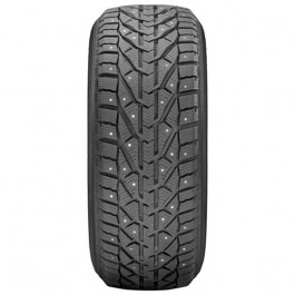 Tigar ICE (205/65R15 99T)