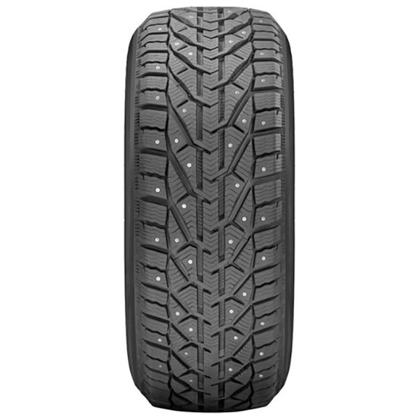 Tigar ICE (205/65R16 99T) - зображення 1