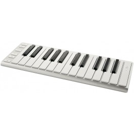   CME Xkey 25