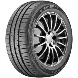 Firemax FM 601 (205/55R17 95W)