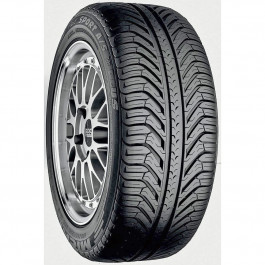 Michelin Pilot Sport A/S (295/35R20 105V)