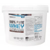 BiotechUSA 100% Pure Whey 4000 g /142 servings/ Hazelnut - зображення 1