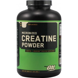 Optimum Nutrition Micronized Creatine Powder 600 g /120 servings/ Unflavored