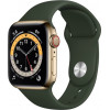 Apple Watch Series 6 GPS + Cellular 40mm Gold Stainless Steel Case w. Cyprus Green Sport B. (M02W3) - зображення 1