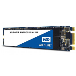 WD SSD Blue M.2 1 TB (S100T2B0B)