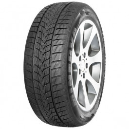   Minerva Tyres Minerva Frostrack UHP (235/55R18 104V)