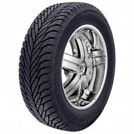   Pneus BPE (195/55R15 89V)