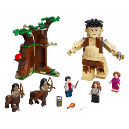 LEGO Harry Potter Запретный лес: Грохх и Долорес Амбридж 253 детали (75967)