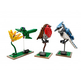LEGO Ideas Птахи (21301)