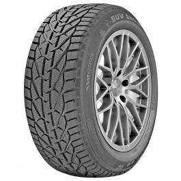   Riken Snow (175/65R15 84T)