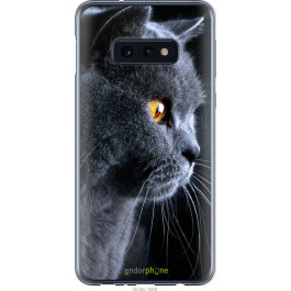 Endorphone Чехол на Samsung Galaxy S10e Красивый кот 3038u-1646-38754