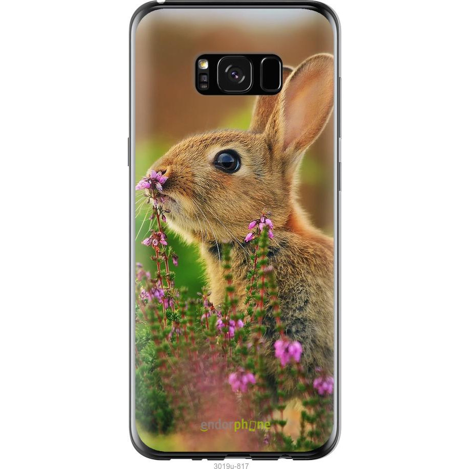 Endorphone Чехол на Samsung Galaxy S8+ Кролик и цветы 3019t-817-38754  купить от грн. Сравнить цены на чехол для смартфона Чехол на Samsung Galaxy  S8+ Кролик и цветы 3019t-817-38754 от производителя Endorphone. Отзывы