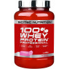 Scitec Nutrition 100% Whey Protein Professional 920 g /30 servings/ Matcha Tea