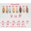 Universal Nutrition Animal Pak 44 packs - зображення 3