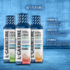 Applied Nutrition L-Carnitine Liquid 3000 with Green Tea 480 ml /32 servings/ Fruit Burst - зображення 2