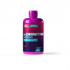 10x Nutrition L-Carnitine Liquid 500 ml /20 servings/ Orange - зображення 3