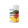 Willmax Creatine Monohydrate 500 g /100 servings/ Mango (wx1009) - зображення 1