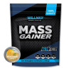 Willmax Mass Gainer 2000 g /20 servings/ Манговий сорбет (wx312) - зображення 1