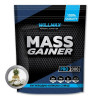 Willmax Mass Gainer 2000 g /20 servings/ Ананас Кокос (wx300) - зображення 1