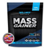 Willmax Mass Gainer 2000 g /20 servings/ - зображення 1