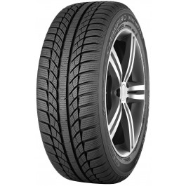   GT Radial Champiro Winter Pro (225/55R17 101V)