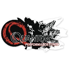 Quantum Наклейка Sktech Sticker 15cm 8,2cm (9949303)