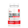 Genius Nutrition Tribulus 90 tabs /30 servings/ - зображення 3